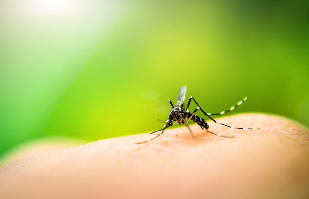 средство после укусов комаров для детей